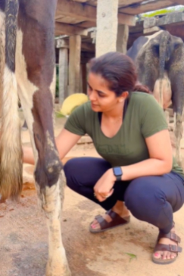 Chaithra Reddy is milking from the cow video 