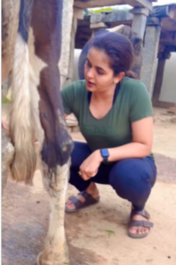 Chaithra Reddy is milking from the cow video 