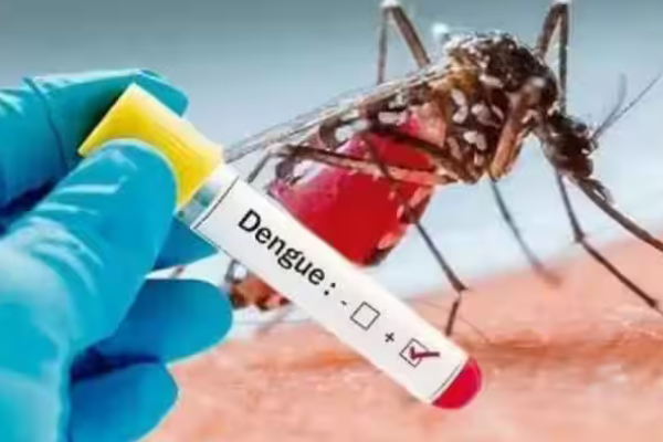 10 year old boy died dengue at Poondamalli, Chennai Egmore government hospital 