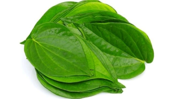 Do you know Excellent Benefits of Betel Leaves and What are 5 Supertips of Betel Leaves to relieve cough