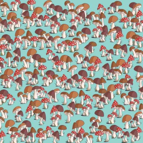  Optical Illusion Image Can You Spot the Mouse Hidden Among these Mushrooms within 15 Secs