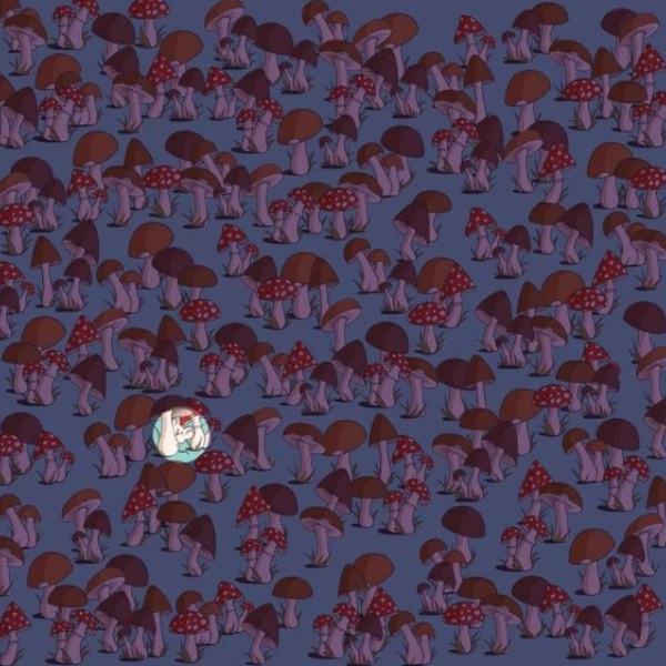  Optical Illusion Image Can You Spot the Mouse Hidden Among these Mushrooms within 15 Secs