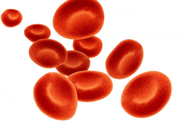  Do you know the Excellent Benefits in Jamun Fruit and Super Home remedies to Detoxify your Blood 