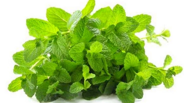 Do you know Health Benefits of Neem Leaves and Thulasi is the Best medicinal uses for All