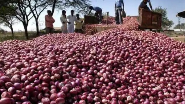 Onion price rising rapidly in Tamil Nadu 