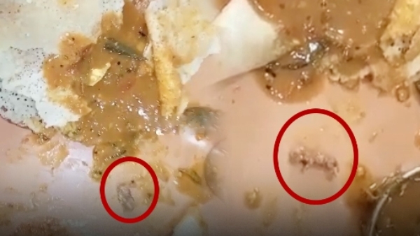 Rat in sambhar: Shock in famous hotel in ooty