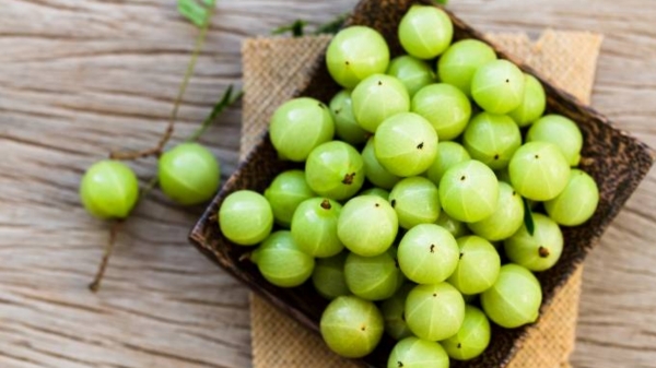 Do you know the amazing health benefits of Nellikkai? 