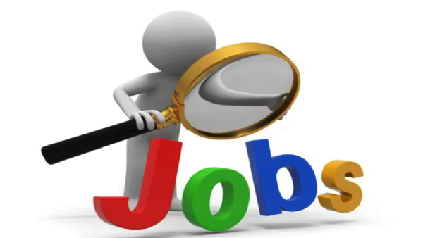  Cabinet Secretariat recruitment 2023 for 125 Deputy Field Officers 