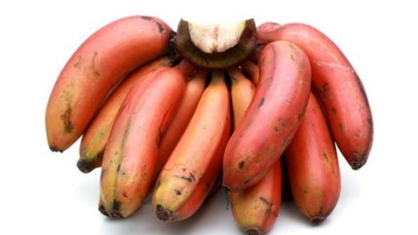 Health Benefits of Red Banana and Red Banana Sevaazhai is the Amazing Health Food for all