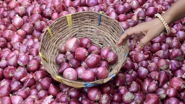Onion price hike in tamilnadu: What is the reason