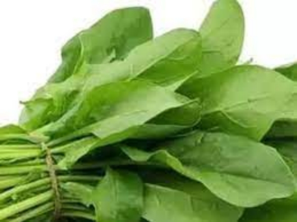Do you know Amazing Health Benefits of Pasalai Keerai and what are the 5 Super Spinach varieties for weight Loss