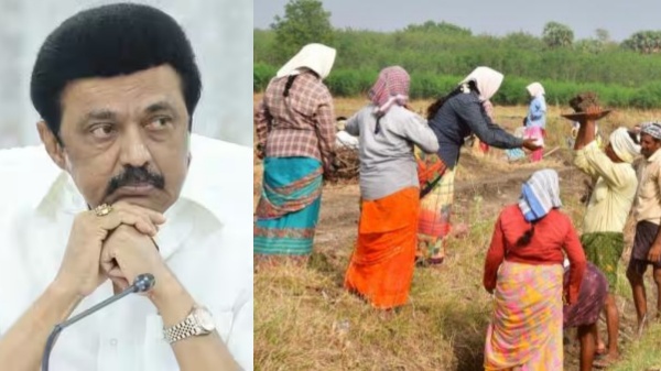 100 day work scheme, CM Stalin letter to Union Minister Giriraj Singh seeking the release of Rs 2,697 crore for workers wages 100 day work scheme, CM Stalin letter to Union Minister Giriraj Singh seeking the release of Rs 2,697 crore for workers wages