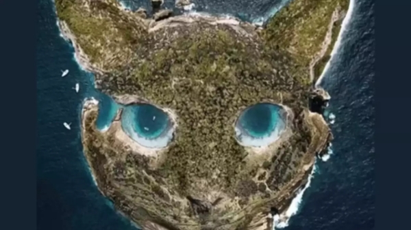 The first impression of the Optical Illusion Test reveals how you handle pressure 