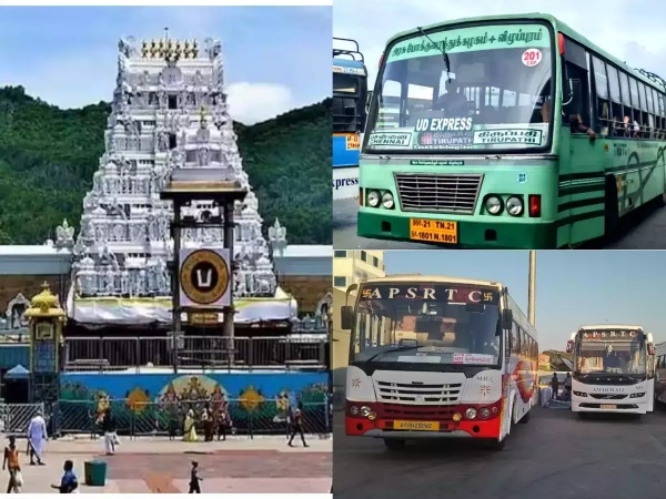 Tirupati Navarathiri bramorchavam: Tamilnadu Transport corporation operates special bus from Today 