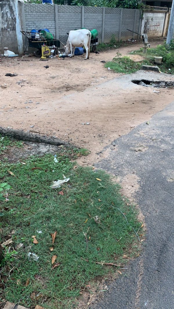  Due to rift in DMK our ward in neglected - Adirampattinam people complaint to district collector 