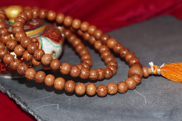 Sengali malai: Which zodiac signs wear Sengali malai yoga? Sengali malai: Which zodiac signs wear Sengali malai yoga?