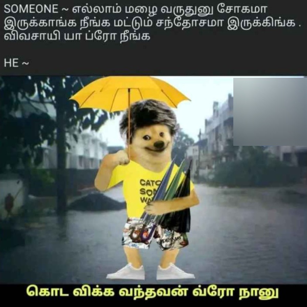 Funny memes collection on rain 15-11-23