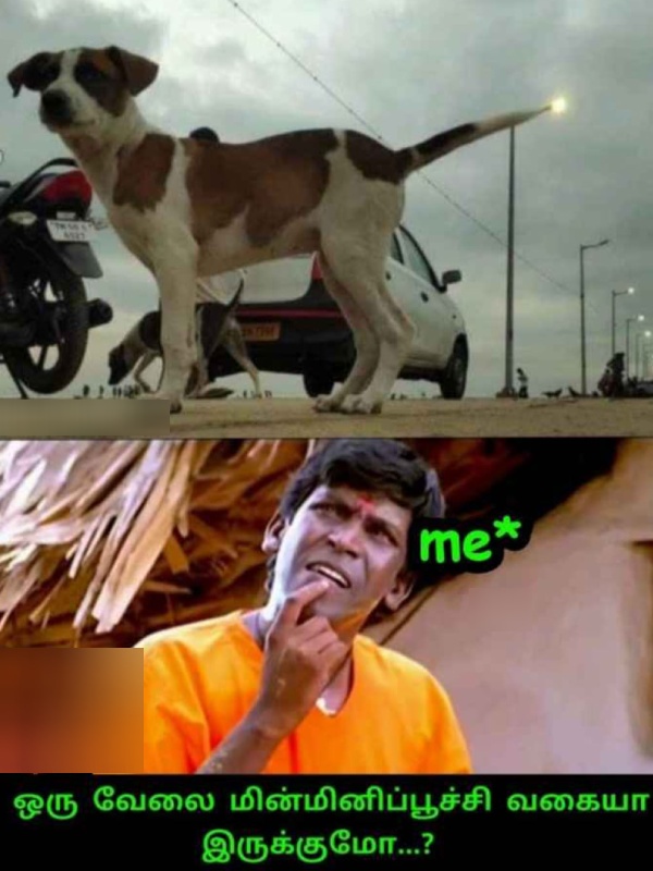 Funny memes collection on Karthigai Deepam celebrations