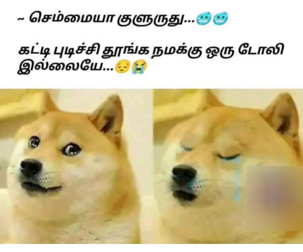 Funny memes collection on rain28-11-23