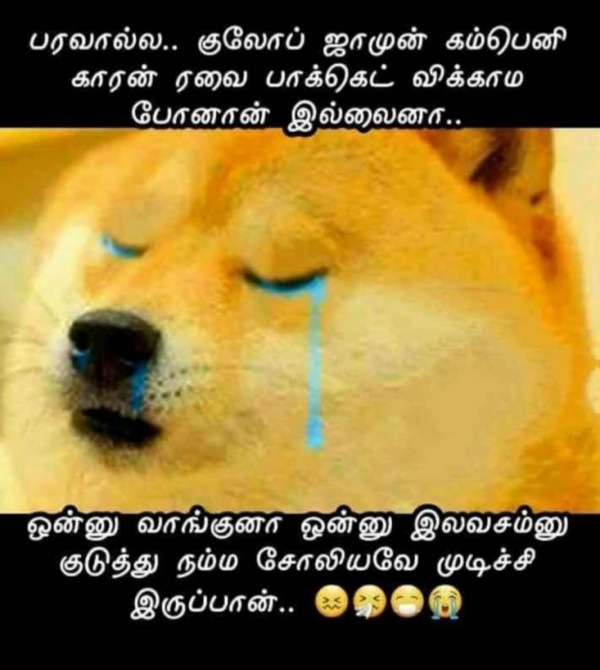 Funny memes collection on Diwali celebrations and crackers