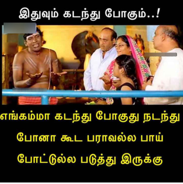 New year memes : Funny memes collection on new year 2024, 23-11-2023