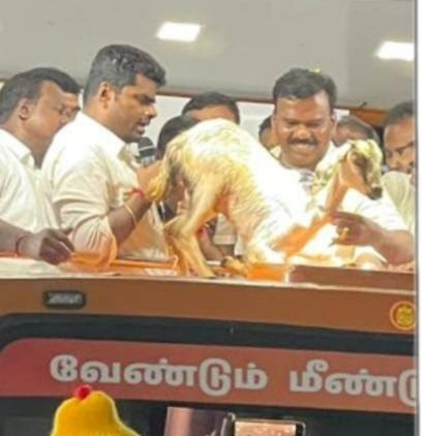 BJP state president Annamalai gifted the lamb as a gift 