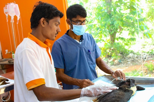 Mandatory Things to remember while burst crackers for Diwali