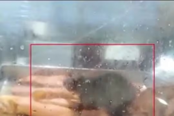  Chennai Stanley Government Hospital canteen closed due to rat issue: Dean order 