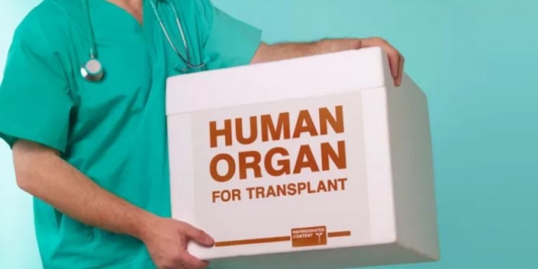  CM Stalins announcement has seen a 27% increase in the number of organ donors