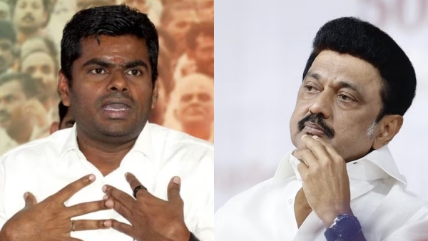 Chief Minister MK Stalin should get well soon: TN BJP leader Annamalai 