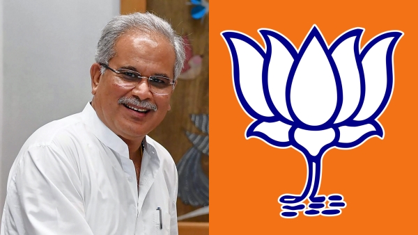 Chhattisgarh assembly election; Congress likely to win 45 to 51 seats ABP C voter Opinion Poll survey Chhattisgarh assembly election; Congress likely to win 45 to 51 seats ABP C voter Opinion Poll survey