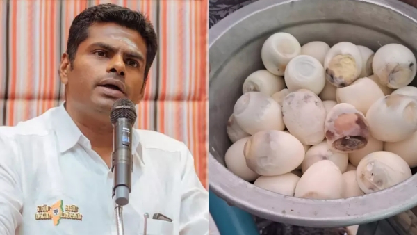 DMK not concerned about Mid Day Meal for govt school students: TN BJP Leader Annamalai DMK not concerned about Mid Day Meal for govt school students: TN BJP Leader Annamalai