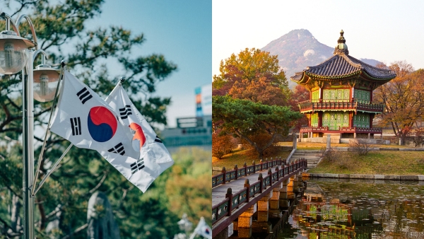  Why South Korea has Declares War On Bedbugs amid raise in tourism 