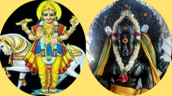 World Diabetes Day: Medical Astrology Astrological Remedies and Solutions for Diabetes Control