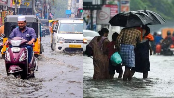 Tamil Nadu government warning to the 15 district collectors amid heavy rain 