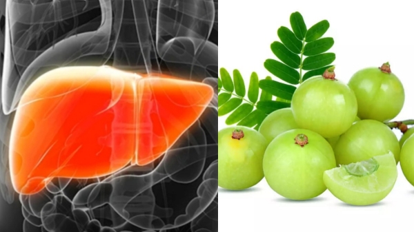 Do you know the Health Benefits of Orange Juice and Which is the Best Healthy Juice to protect the Liver 