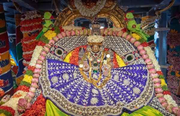 Karthika Brahmotsavams Car festival Padmavathi Thayar temple, Tiruchanoor 