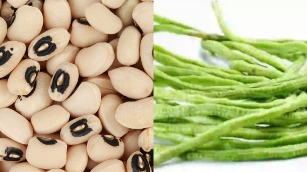 Do you know Health Benefits of Karamani and Black eyed pea is the Best for Diabetics