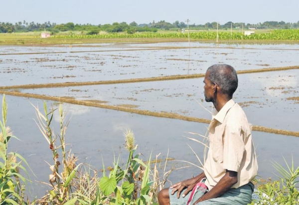 The extension of time for samba crop insurance is set to end tomorrow, Farmers dont miss it 