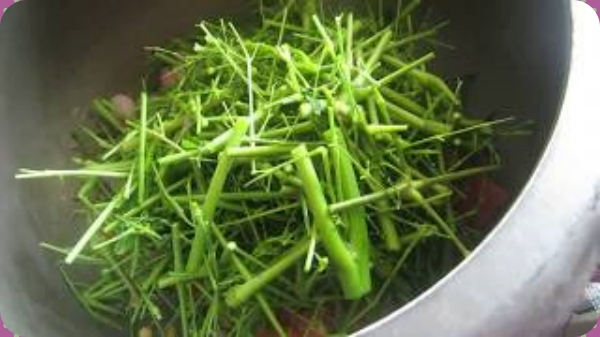 Do you know the Amazing Health Benefits of Drumstick Eerkku and Lemon Peel Juice is the Best Drink for Weight Loss