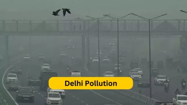 Due to air pollution in Delhi, school holidays have been extended till 19th 