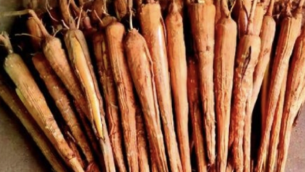 Do you know the Excellent Health Benefits of Palmyra Sprout and Panangizhangu is the Best Food for Anemia patients