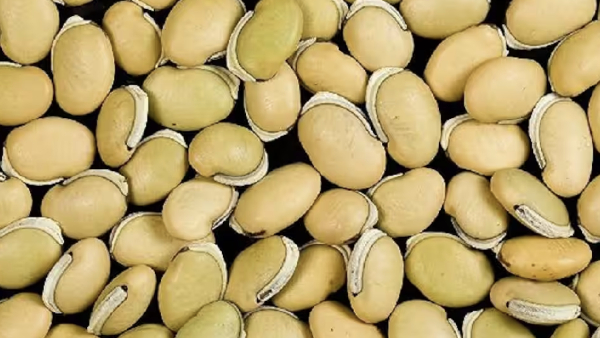 Do you know the health Benefits of Mochai Kottai and Mochai Payaru is the Best for women