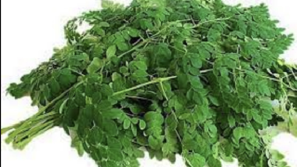 Do you know Health Benefits of Drumstick Leaves and What are the Best Vegetables that can boost immunity.