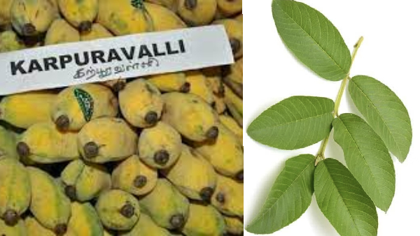 Do you know the Super Benefits of Karpoora Valli Banana and What are the Excellent fruits for Weight Loss
