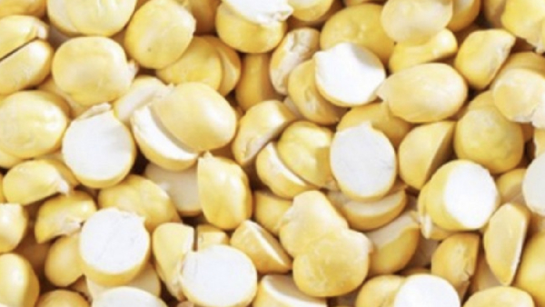 Do you know Excellent Health Benefits of Pottukkadalai and Pottu Kadalai is the Best for Diabetics, Children