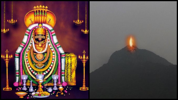 Tiruvannamalai Karthigai Deepam: Maha deepam lit on Tiruvannamalai Annamalaiyar temple hill Tiruvannamalai Karthigai Deepam: Maha deepam lit on Tiruvannamalai Annamalaiyar temple hill