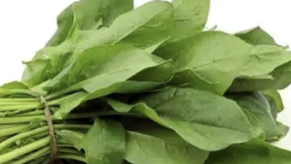 Do you know amazing health benefits of Palak Keerai and Spinach can help women in 6 ways