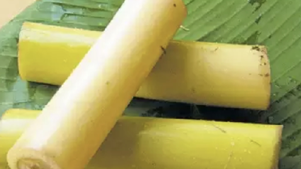 Do you know the Health Benefits of Banana Stem and Amazing Banana Stem Juice is the Best for Kidney