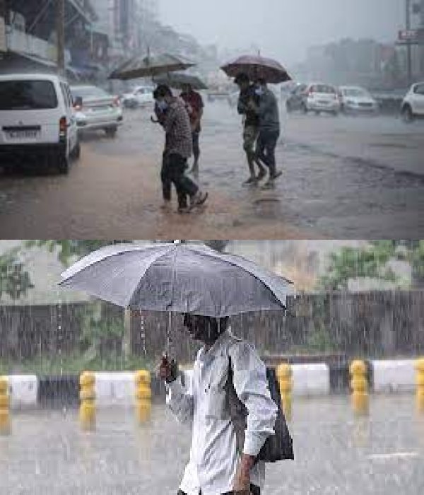 Chance of heavy rain in 10 districts including Nellai, Tenkasi - Chennai Meteorological Centre